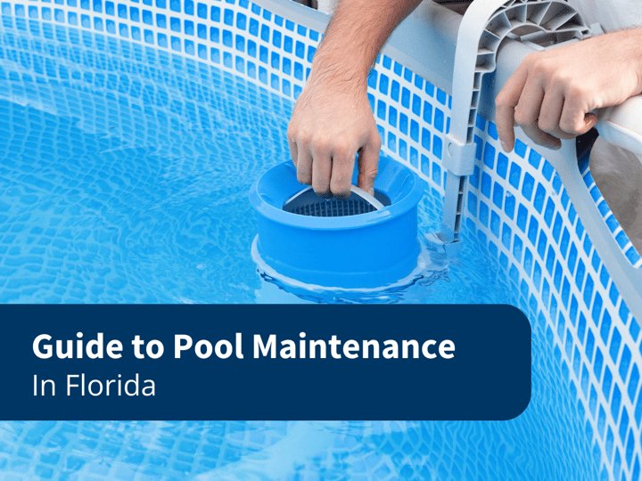 Guide to Pool Maintenance in Florida Blog Image