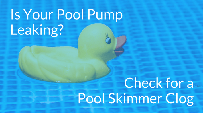 Is Your Pool Pump Leaking.png