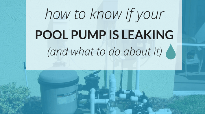 pool pump leaking.png