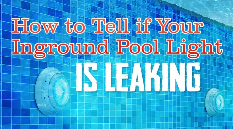 Inground Pool Light Leaking.jpg
