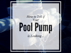 How to tell if your Pool Pump is leaking