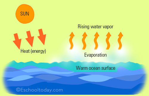 evaporation-in-water-cycle.jpg